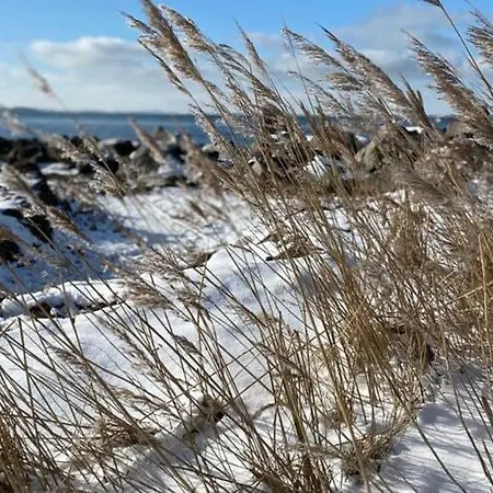 Mit Sauna In Boiensdorf * Gustow (Nordwestmecklenburg)